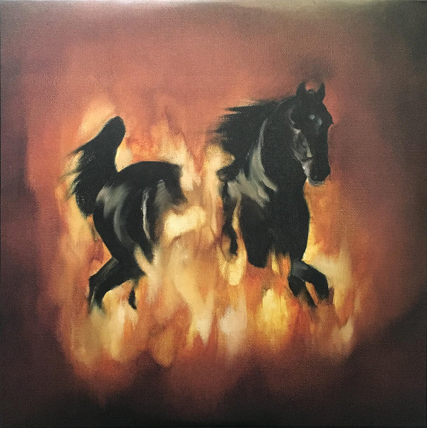 BESNARD LAKES - BESNARD LAKES ARE THE DARK HORSE