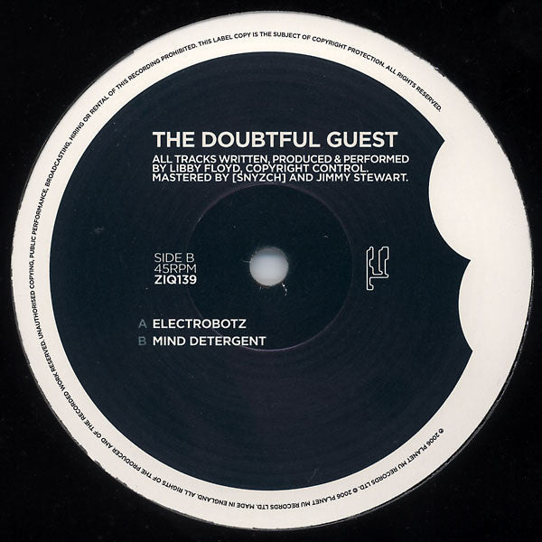 DOUBTFUL GUEST - ELECTROBOTZ