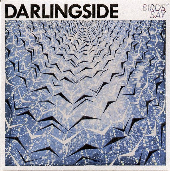 DARLINGSIDE - BIRDS SAY