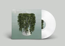ERRORS - LEASE OF LIFE