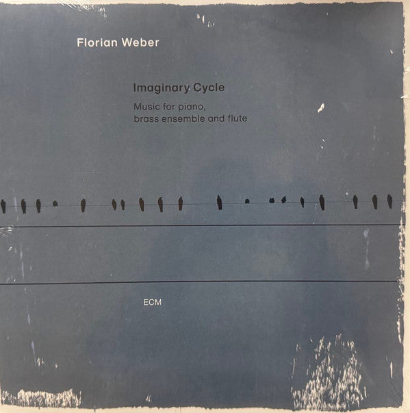 WEBER,FLORIAN - IMAGINARY CYCLE (2LP)