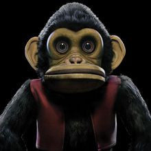 BREEMEN,EDO VAN - MONKEY