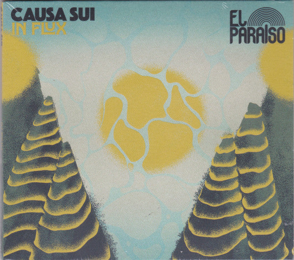 CAUSA SUI - IN FLUX