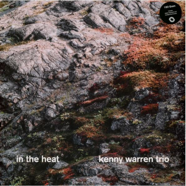 WARREN,KENNY TRIO - IN THE HEAT