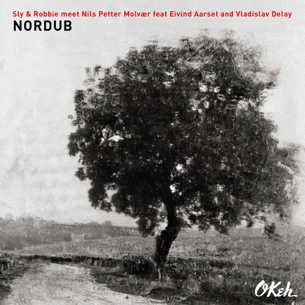 SLY & ROBBIE & NILS PETTER MOLVAER - NORDUB