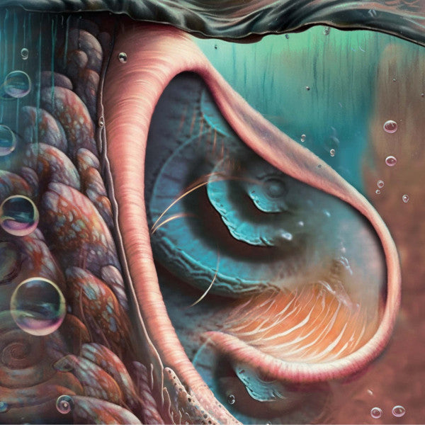 VARIOUS ARTISTS - MEDDLE REIMGAINED - A TRIBUTE TO PINK FLOYD (BLUE VINYL)