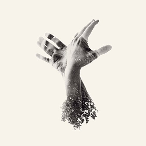 LAST DINOSAUR - NOTHING
