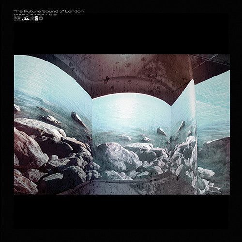 VARIOUS ARTISTS - FUTURE SOUND OF LONDON