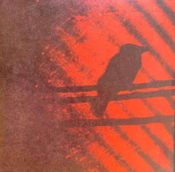 SILVER MOUNTAIN ZION - BORN INTO TROUBLE AS THE SPARKS FLY UPWARD