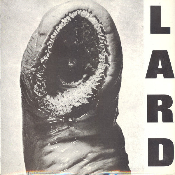 LARD - POWER OF LARD