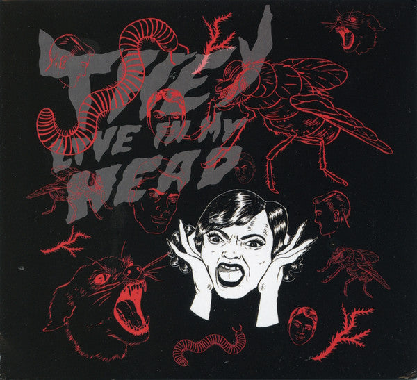 BUSH TETRAS - THEY LIVE IN MY HEAD