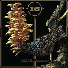16 - DREAM SQUASHER