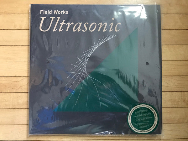 VARIOUS ARTISTS - FIELD WORKS: ULTRASONIC (2LP)