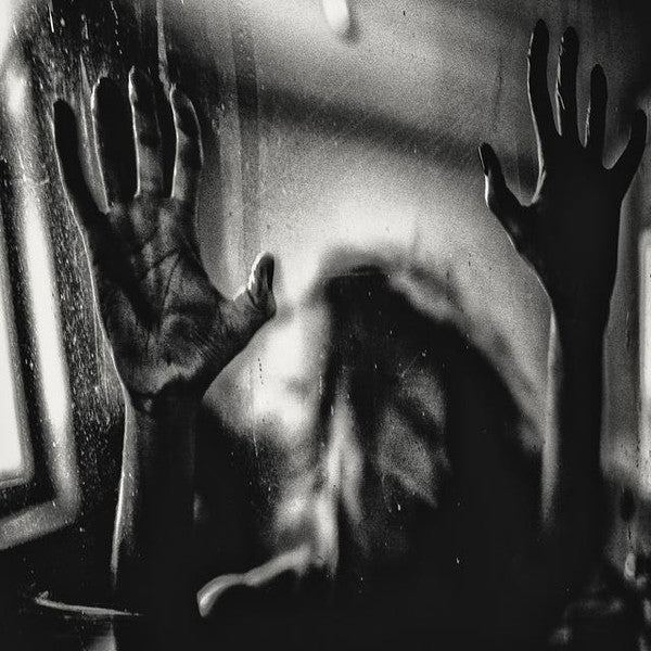BEHIND THE SHADOW DROPS - H A R M O N I C