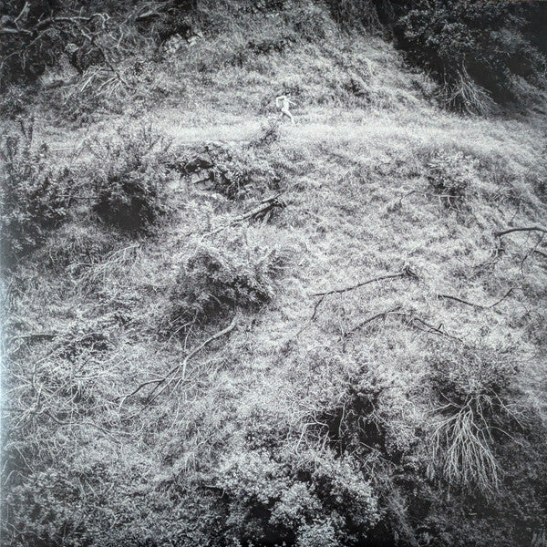 TIVEL,ANNA - ANIMAL POEM