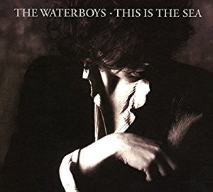 WATERBOYS - THIS IS THE SEA