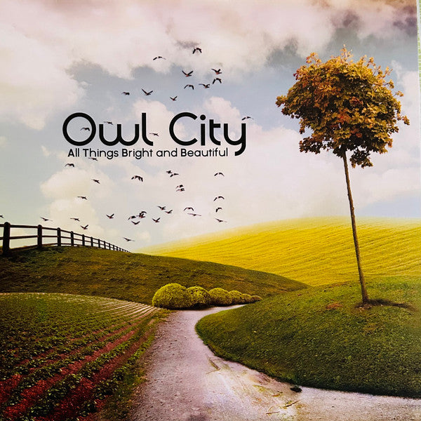 OWL CITY - ALL THINGS BRIGHT & BEAUTIFUL