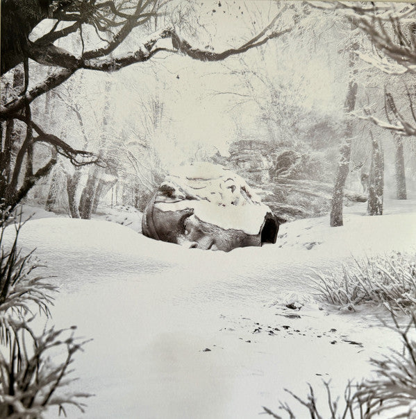WEEZER - SZNZ: WINTER