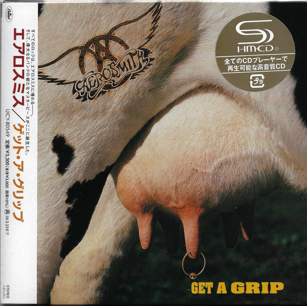 AEROSMITH - GET A GRIP