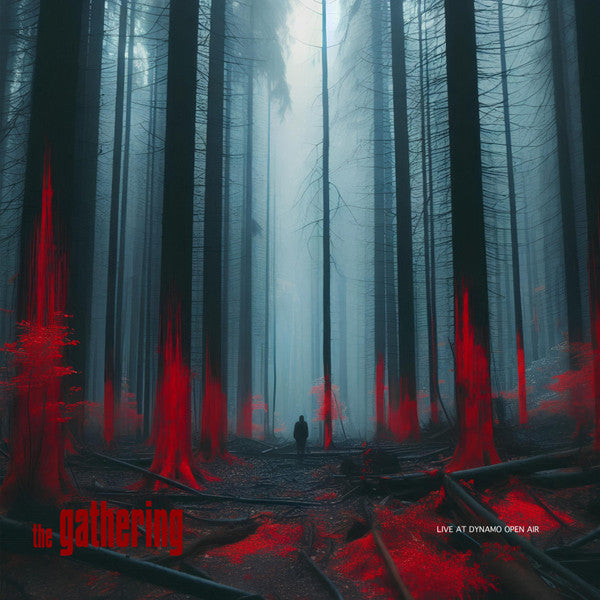 GATHERING - LIVE AT DYNAMO OPEN AIR
