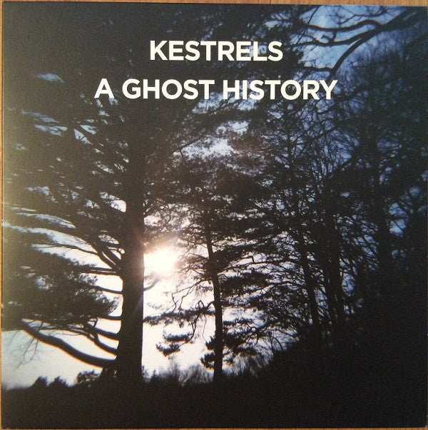KESTRELS - A GHOST HISTORY