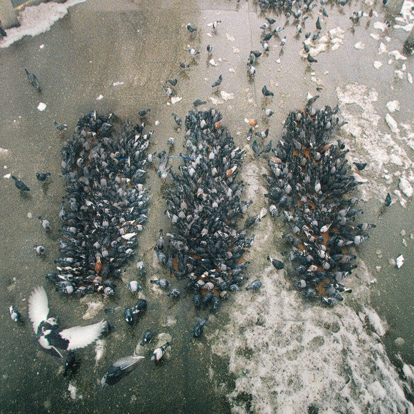 SHOW ME THE BODY - ALONE TOGETHER