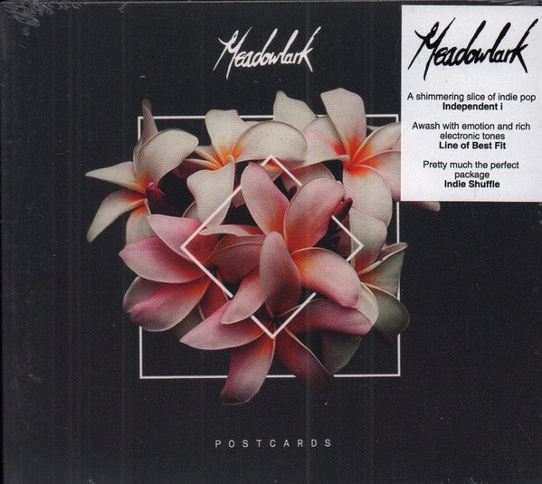 MEADOWLARK - POSTCARDS
