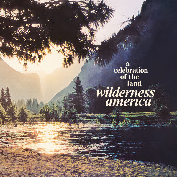 VARIOUS ARTISTS - WILDERNESS AMERICA, A CELEBRATION OF THE LAND