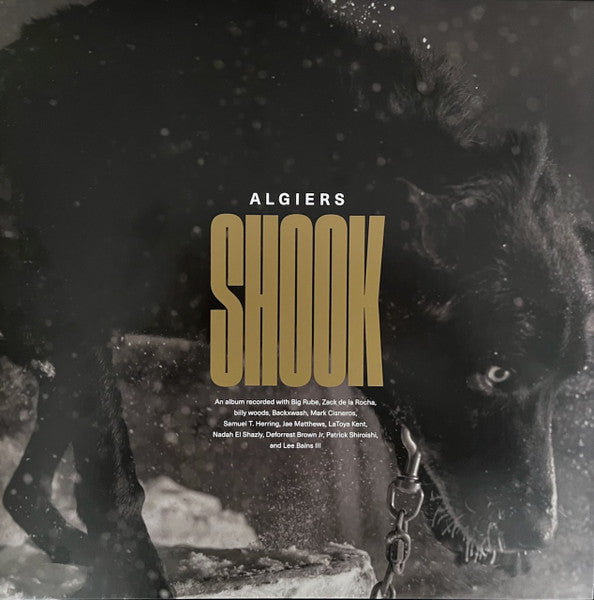 ALGIERS - SHOOK (2LP)