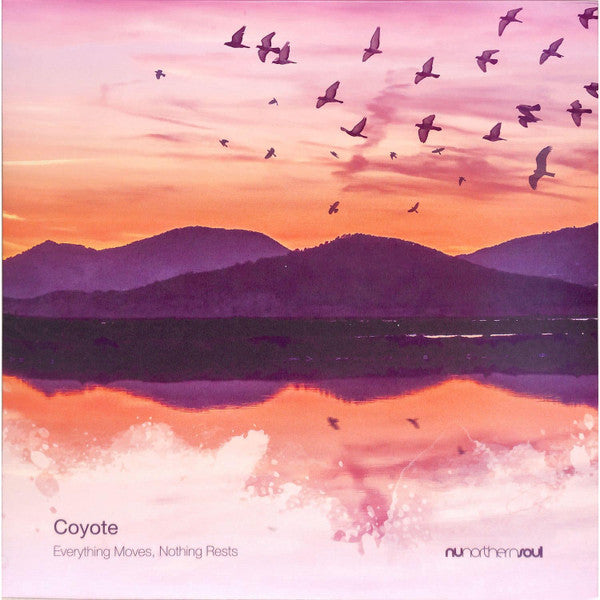 COYOTE - EVERYTHING MOVES, NOTHING RESTS