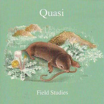QUASI - FIELD STUDIES (BLANK D-SIDE)