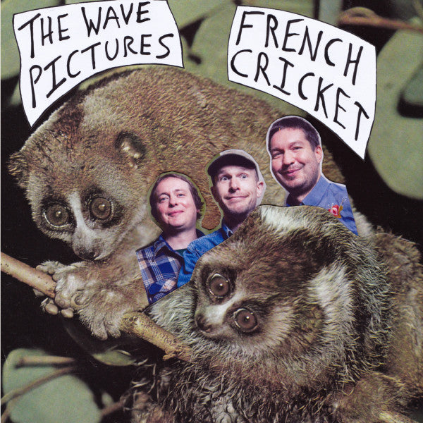 WAVE PICTURES - FRENCH CRICKET (2X7INCH)
