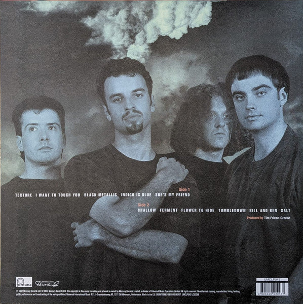 CATHERINE WHEEL - FERMENT (LP/12INCH)