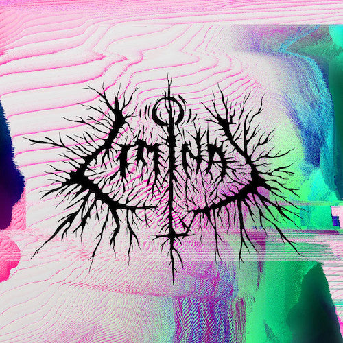 PETBRICK - LIMINAL