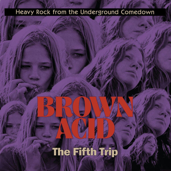 VARIOUS ARTISTS - BROWN ACID: THE FIFTH TRIP