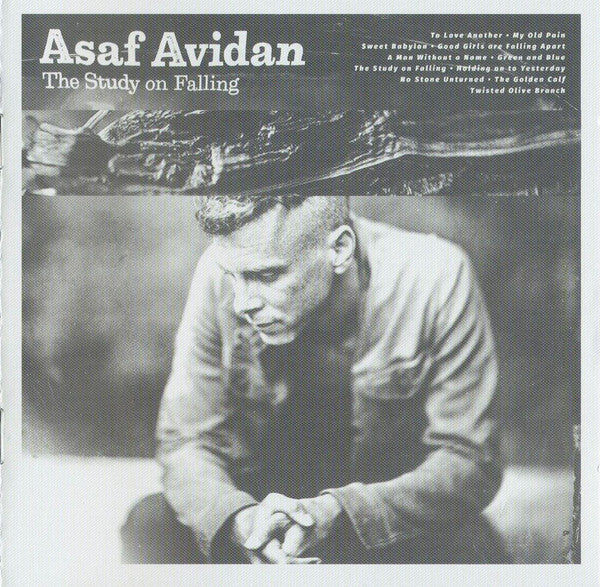 AVIDAN,ASAF - STUDY ON FALLING