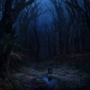 WOODS OF DESOLATION - TORN BEYOND REASON