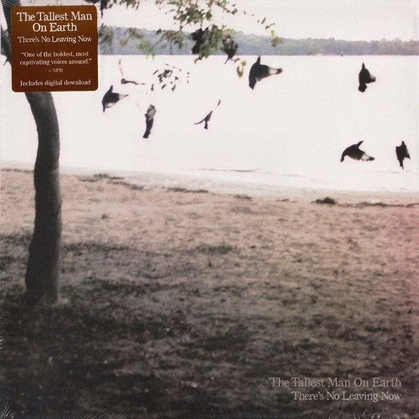 TALLEST MAN ON EARTH - THERE'S NO LEAVING NOW