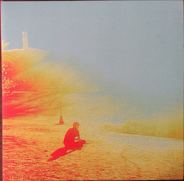FLAMING LIPS - TERROR