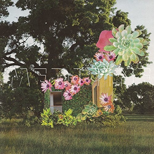 MEDICINE - HOME EVERYWHERE