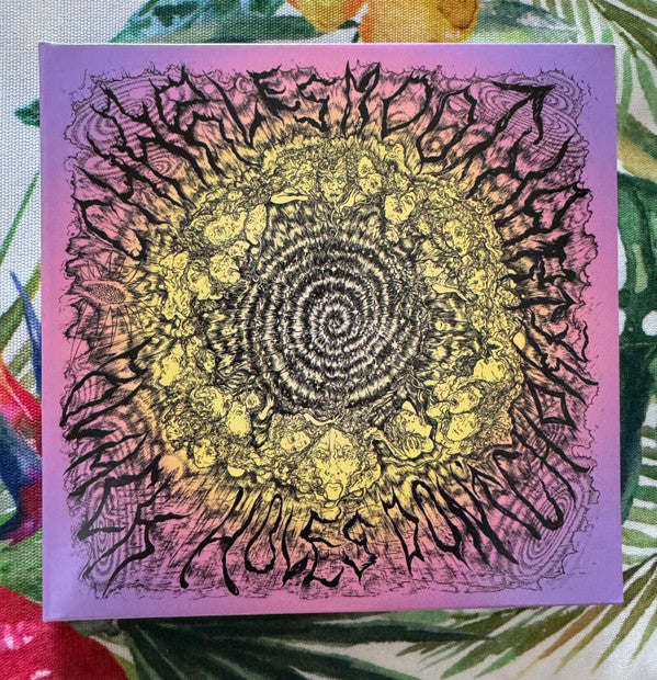 MOOTHART,CHARLES - BLACK HOLES DON'T CHOKE