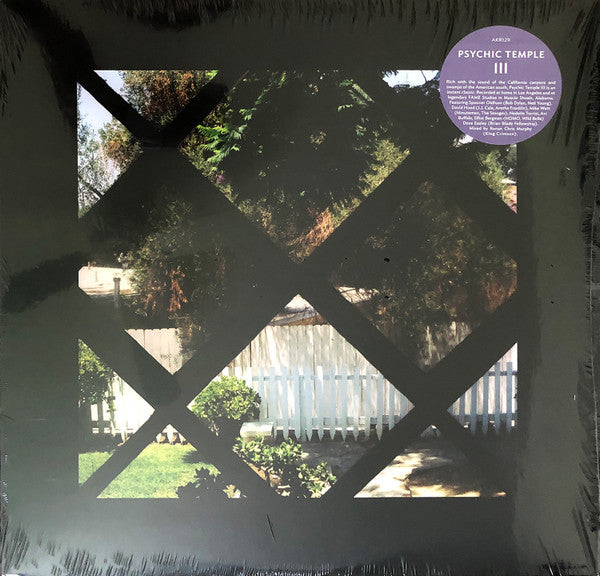 PSYCHIC TEMPLE - III