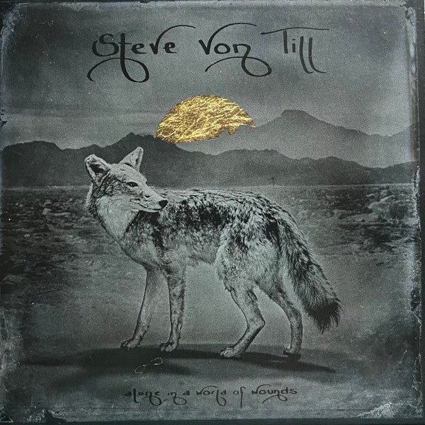 VON TILL,STEVE - ALONE IN A WORLD OF WOUNDS