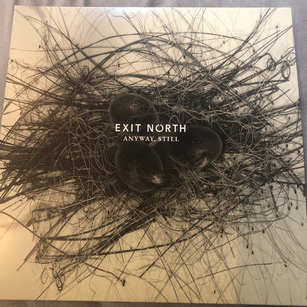 EXIT NORTH - ANYWAY, STILL (180G/2LP)