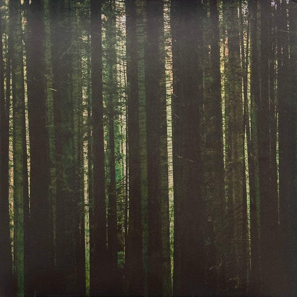 PAPER KITES - EVERGREEN (GREEN VINYL)