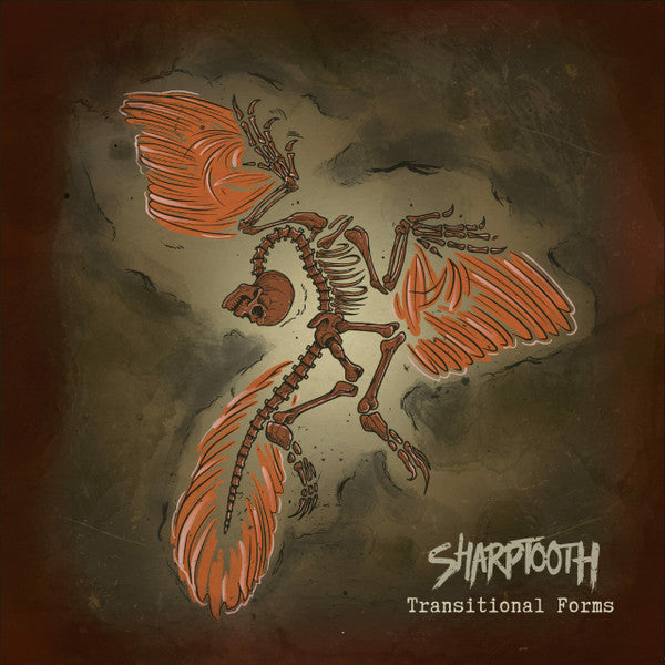 SHARPTOOTH - TRANSITIONAL FORMS