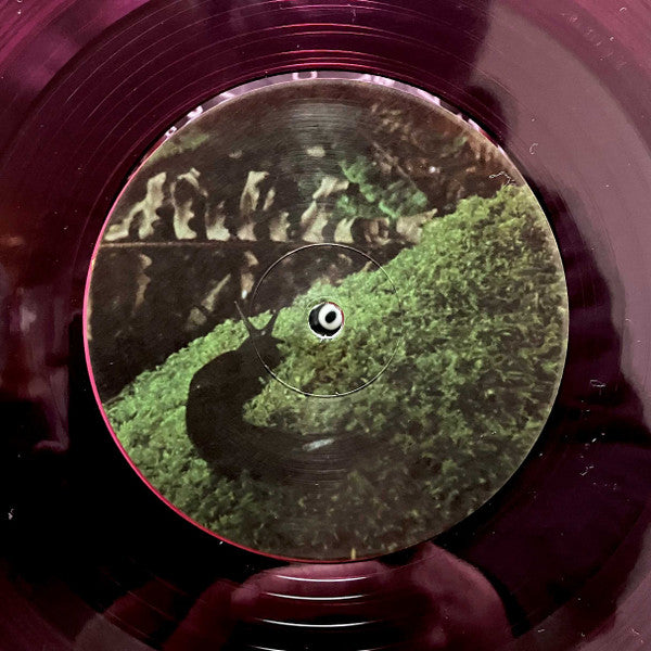 YO LA TENGO - OLD JOY (TRANSPARENT PINK VINYL)
