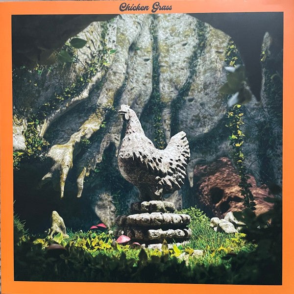 CHICKEN GRASS - CHICKEN GRASS