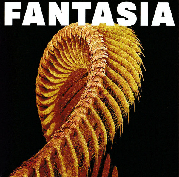 SLIFT - FANTASIA