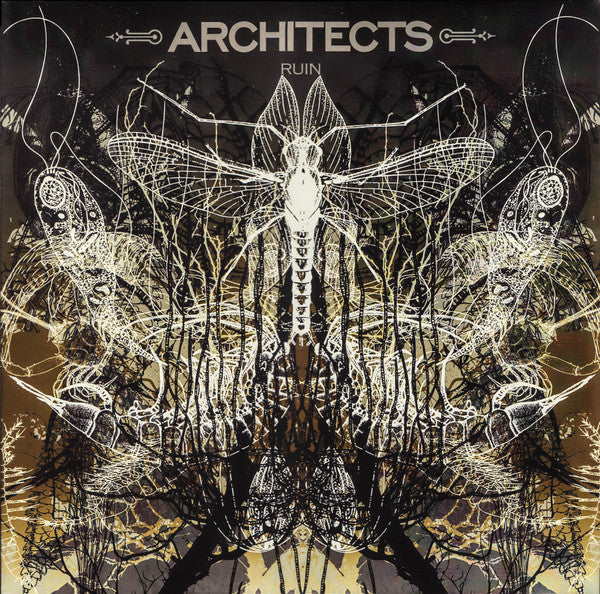ARCHITECTS - RUIN REISSUE
